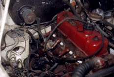 Mg5