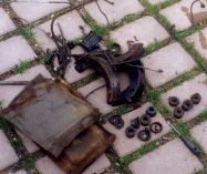 Mg9